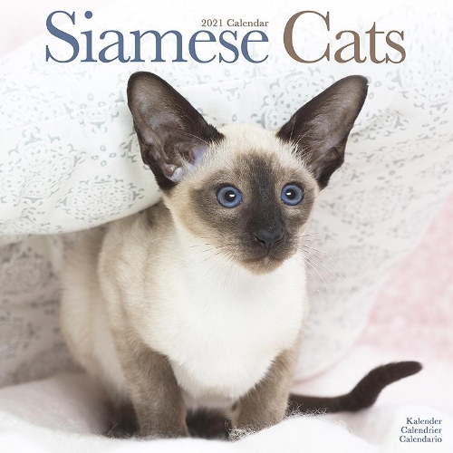 Siamese Cats 2021 Wall Calendar