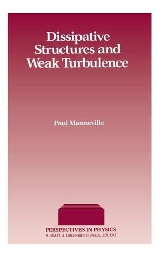 Dissipative Structure & Weak Turbulence