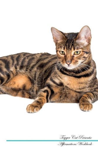 Toyger Cat Affirmations Workbook Toyger Cat Presents: Positive and Loving Affirmations Workbook. Includes: Mentoring Questions, Guidance, Supporting You.