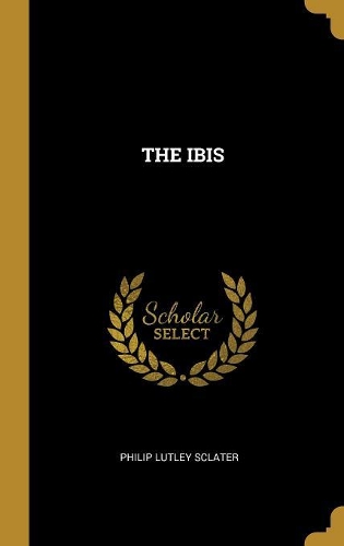 The Ibis