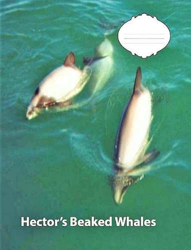 Hector's Beaked Whale College Ruled Line Paper Composition Book: Whale Fans, College Notebooks, Middle School Students, Journals, Composition notebooks