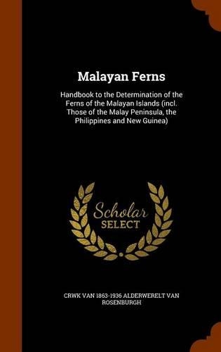 Malayan Ferns