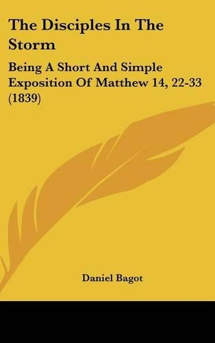 The Disciples in the Storm