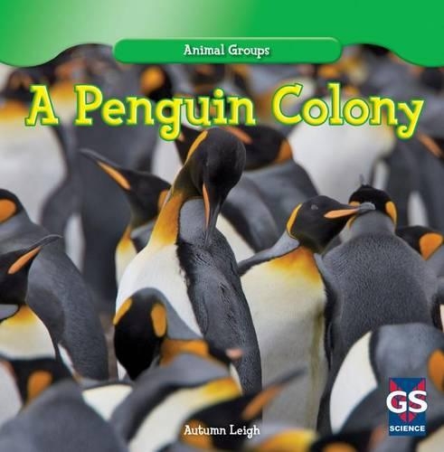 A Penguin Colony: (4 Animal Groups)