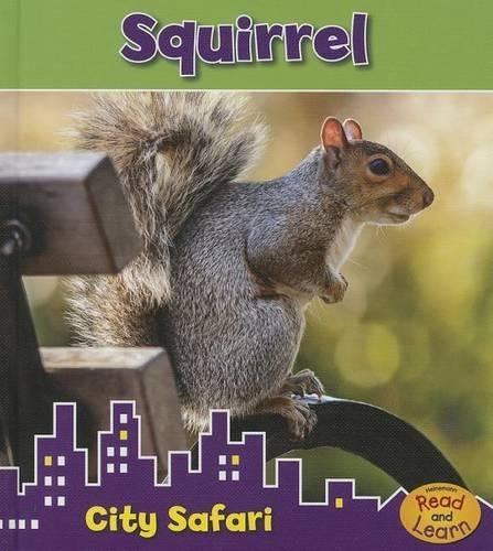 Squirrel: (City Safari)
