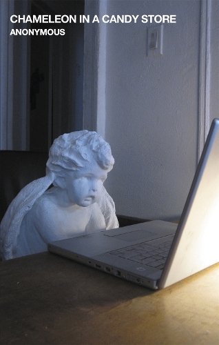 Chameleon in a Candy Store: (Oxygen Thief Diaries)