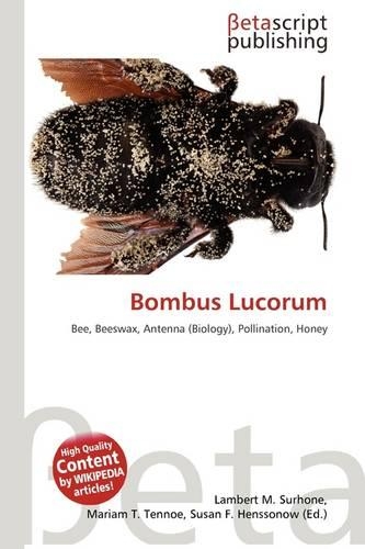 Bombus Lucorum