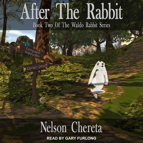 After the Rabbit: (2 Waldo Rabbit)