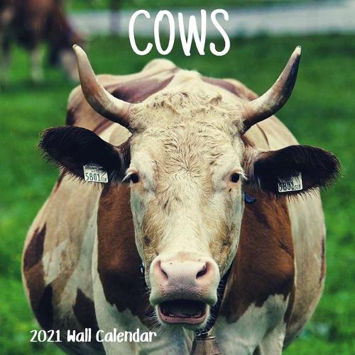Cow 2021 Wall Calendar