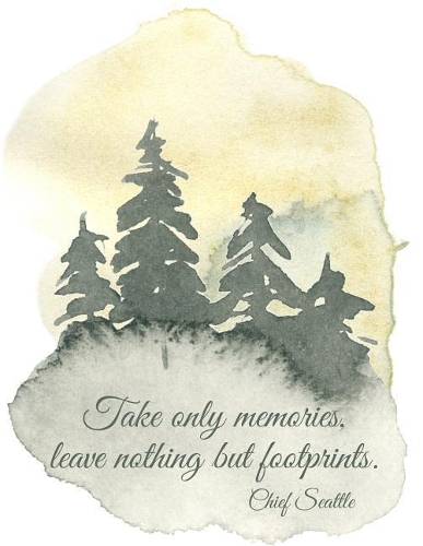 Take Only Memories, Leave Nothing But Footprints. Chief Seattle Camping Memories Journal: Letter Size (8.5 X 11) Lined and Drawing Travel Notebook