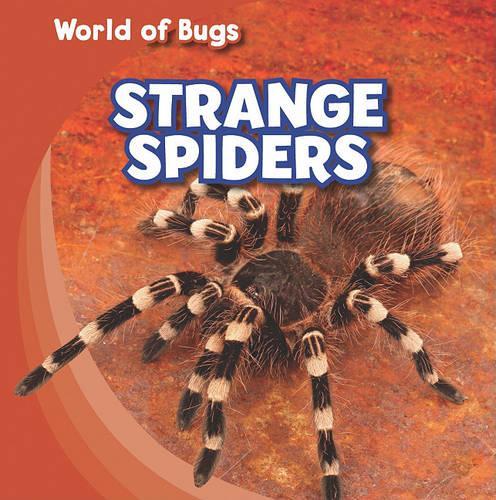 Strange Spiders: (World of Bugs)
