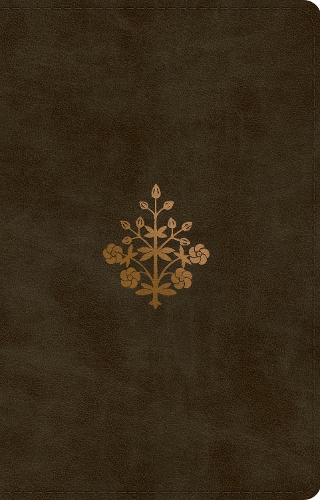 ESV Large Print Thinline Reference Bible