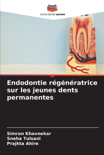 Endodontie régénératrice sur les jeunes dents permanentes
