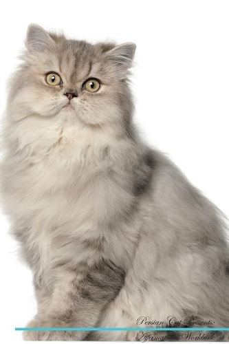 Persian Cat Affirmations Workbook Persian Cat Presents