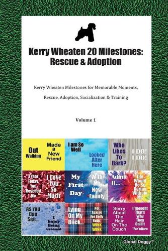 Kerry Wheaten 20 Milestones