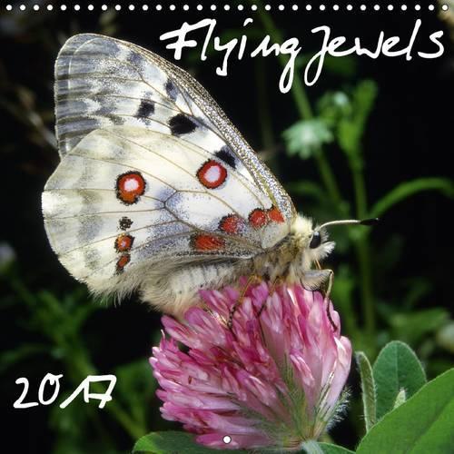Flying Jewels 2017