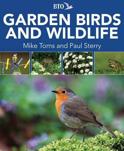 Garden Birds and Wildlife