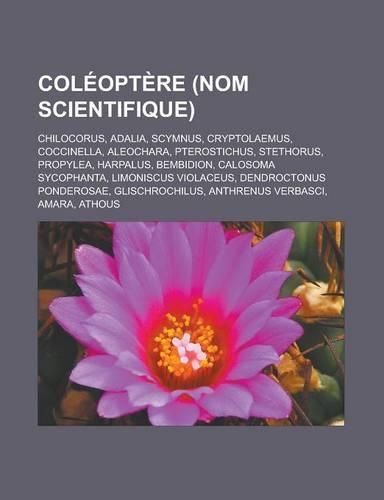 Coleoptere (Nom Scientifique): Chilocorus, Adalia, Scymnus, Cryptolaemus, Coccinella, Aleochara, Pterostichus, Stethorus, Propylea, Harpalus