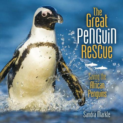 The Great Penguin Rescue: Saving the African Penguins(Sandra Markle's Science Discoveries)