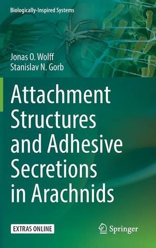 Attachment Structures and Adhesive Secretions in Arachnids