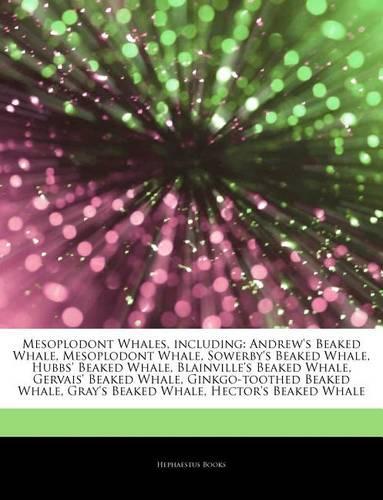 Articles on Mesoplodont Whales, Including: Andrew's Beaked Whale, Mesoplodont Whale, Sowerby's Beaked Whale, Hubbs' Beaked Whale, Blainville's Beaked Whale, Gervais' Beaked Whale, Ginkgo-Toot