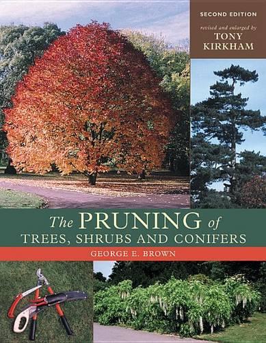 Pruning of Trees, Shrubs and Conifers