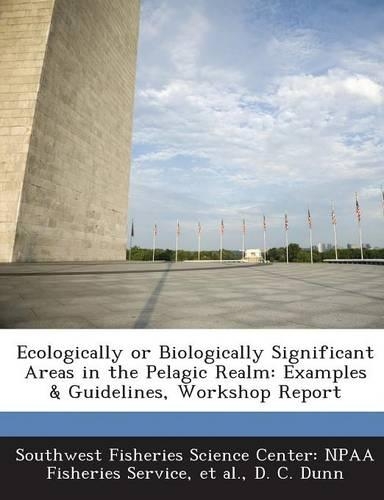 Ecologically or Biologically Significant Areas in the Pelagic Realm: Examples & Guidelines, Workshop Report