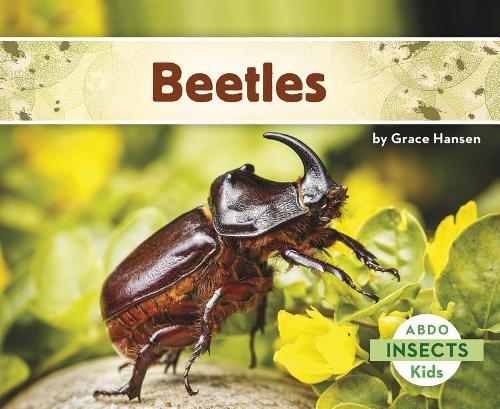 Beetles: (Insects)