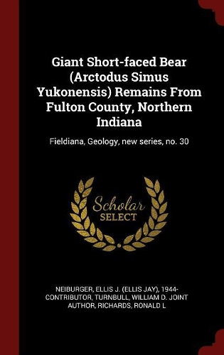 Giant Short-faced Bear (Arctodus Simus Yukonensis) Remains From Fulton County, Northern Indiana