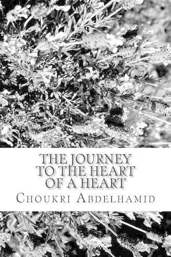 The journey to the heart of a heart