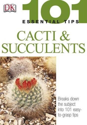 Cacti and Succulents