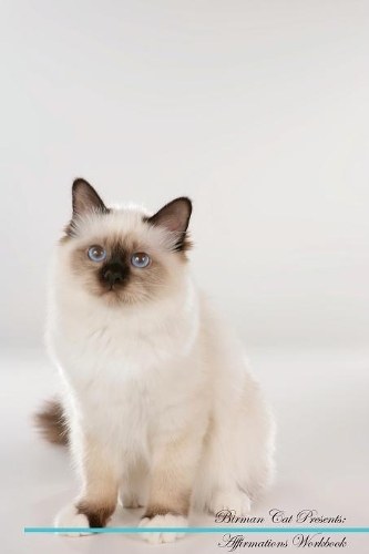 Birman Cat Affirmations Workbook Birman Cat Presents