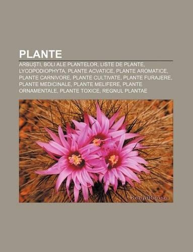 Plante