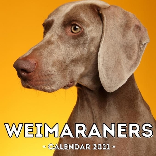 Weimaraners Calendar 2021: 16-Month Calendar, Cute Gift Idea For Weimaraner Lovers Women & Men