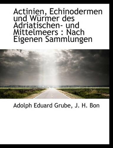 Actinien, Echinodermen Und W Rmer Des Adriatischen- Und Mittelmeers: Nach Eigenen Sammlungen