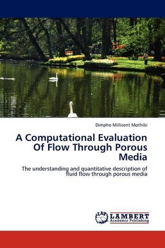 A Computational Evaluation of Flow Through Porous Media
