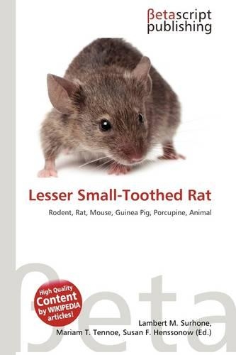Lesser Small-Toothed Rat