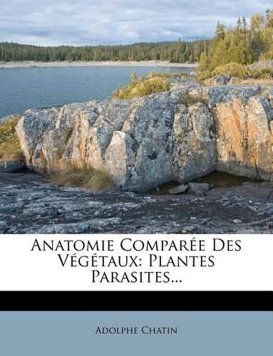 Anatomie Comparée Des Végétaux