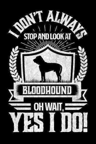 I Don't Always Stop and Look At Bloodhound OH Wait, Yes I Do!: Gifts for Dog Owners 100 page Weekly 6 x 9 journal to jot down your ideas and notes