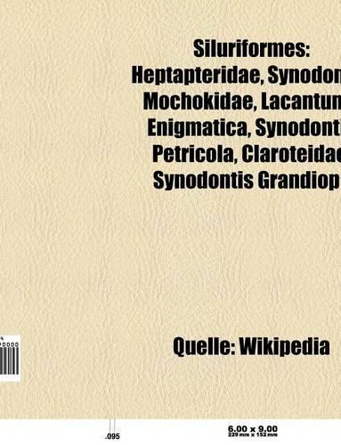 Siluriformes: Callichthyidae, Loricariidae, Pangasiidae, Siluridae, Heptapteridae, Corydoras, Synodontis, Mochokidae, Pseudoplatystoma, Panaque