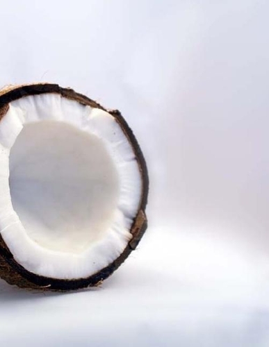 Coconut Notebook Large Size 8.5 x 11 Ruled 150 Pages Softcover