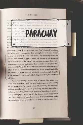 Paraguay: Ruled Travel Diary Notebook or Journey Journal - Lined Trip Pocketbook for Men and Women with Lines