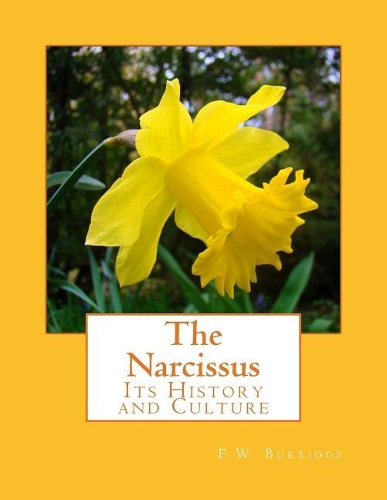 The Narcissus