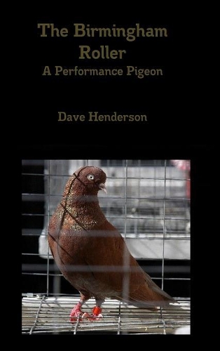 The Birmingham Roller A Performance Pigeon