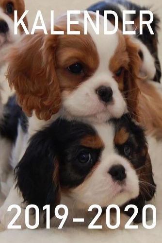 Kalender 2019-2020: Hunde Kalender / August 2019 bis Dezember 2020 / A5