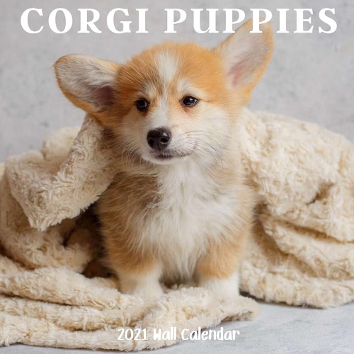 Corgi Puppy 2021 Wall Calendar: Corgi Puppy Calendar 2021, 18 Months
