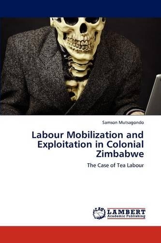 Labour Mobilization and Exploitation in Colonial Zimbabwe