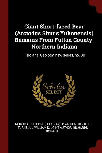 Giant Short-Faced Bear (Arctodus Simus Yukonensis) Remains from Fulton County, Northern Indiana