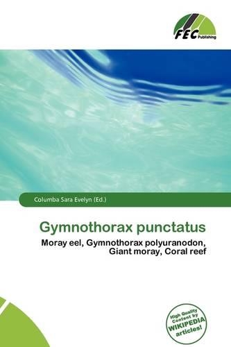 Gymnothorax Punctatus