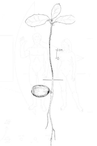 Six Years of Relative Happiness